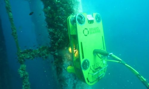mini-robots-clean-platforms-underwater-hero